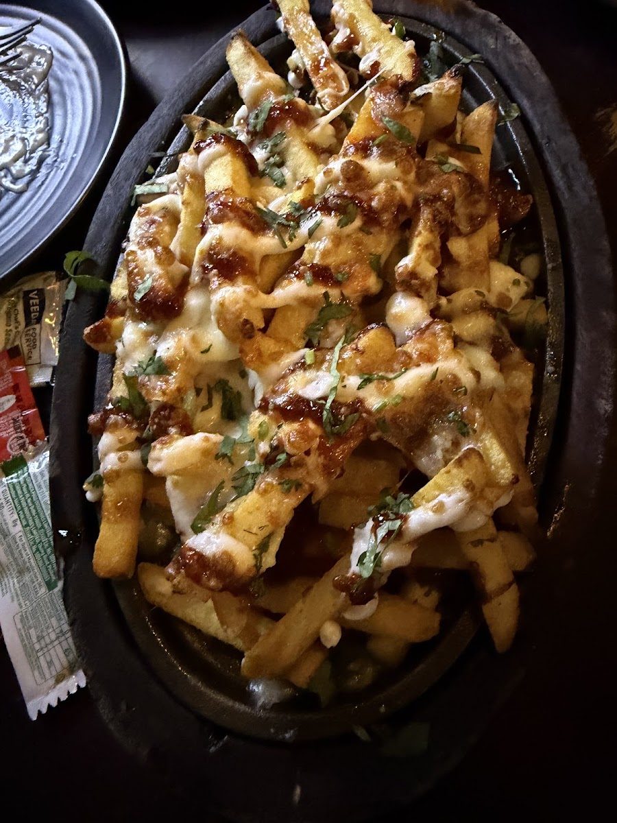 Sizzlers &amp; loaded fries at Cafe Grillz, Karnal